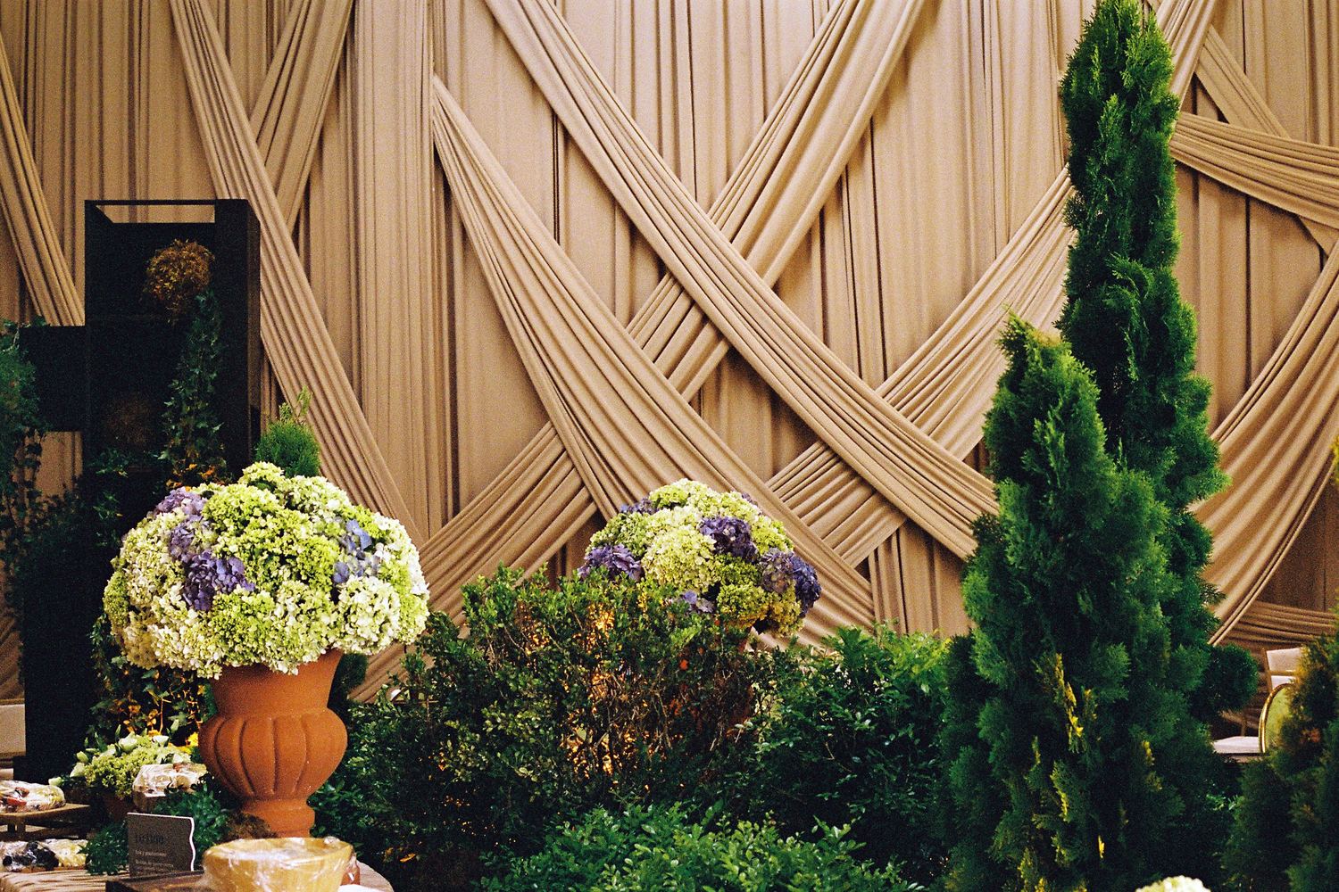 Composición de plantas y flores contra un fondo de telas