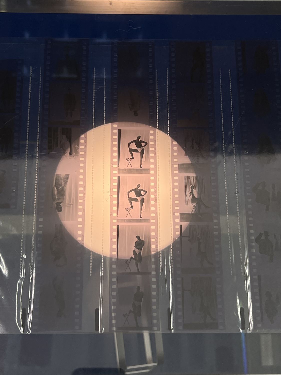 Tiras de negativos sobre una mesa de luz