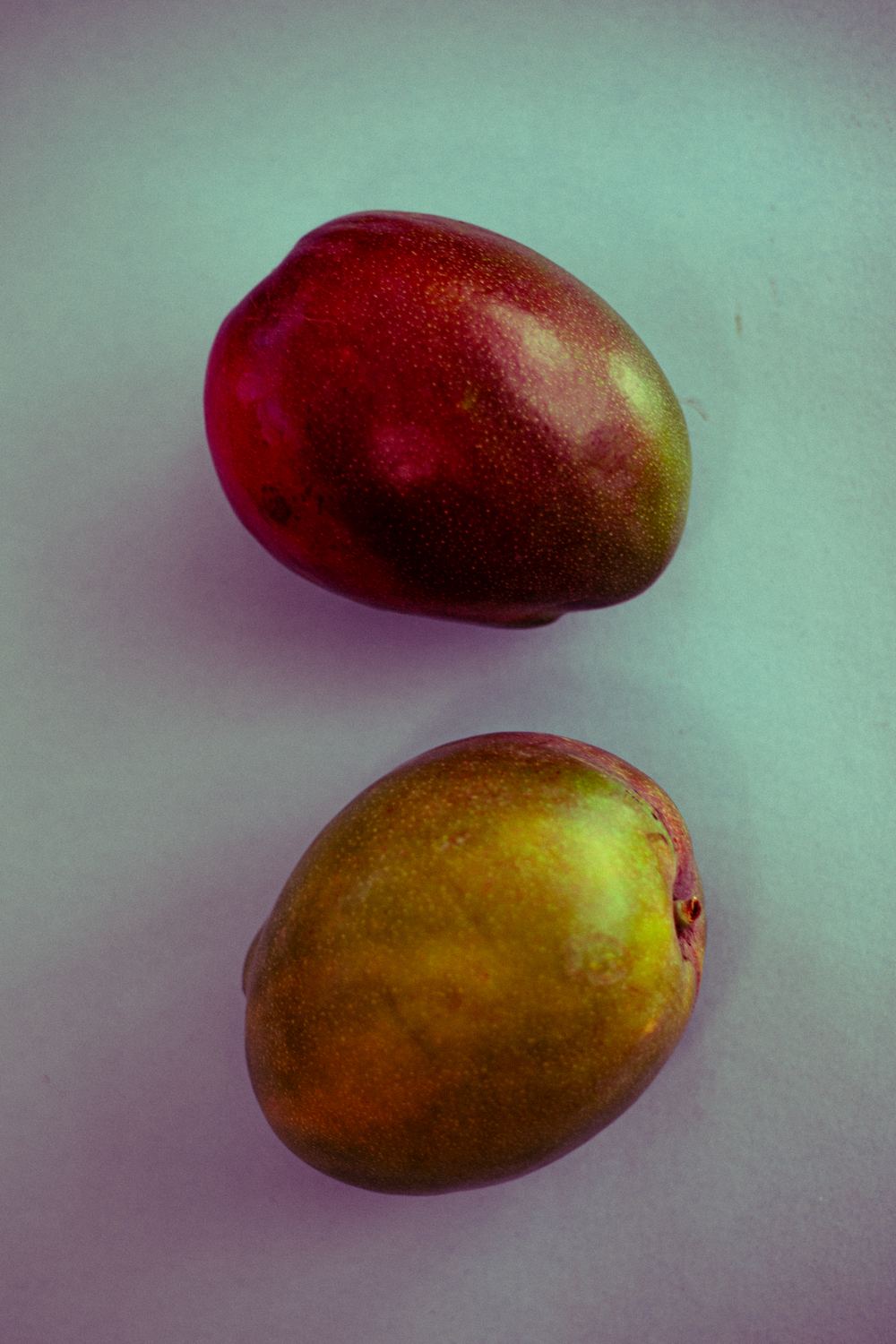 Dos mangos sobre fondo verde bajo luz de color
